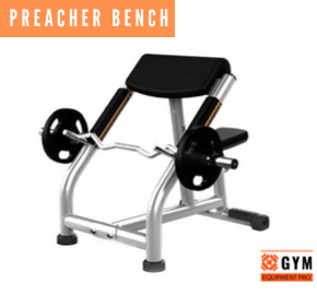 Preacher Bench