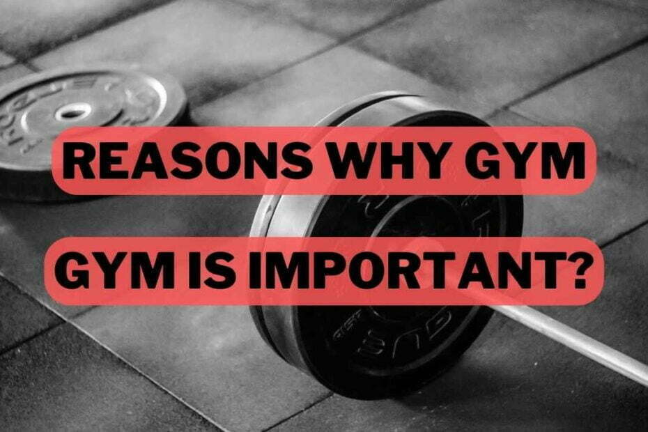 Why Gym Is Better Than Home