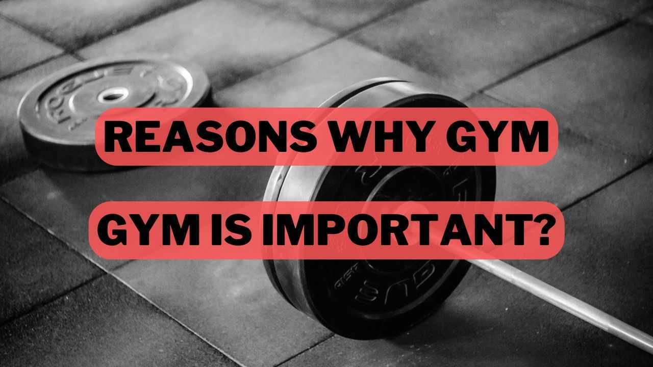 Why Gym Is Important
