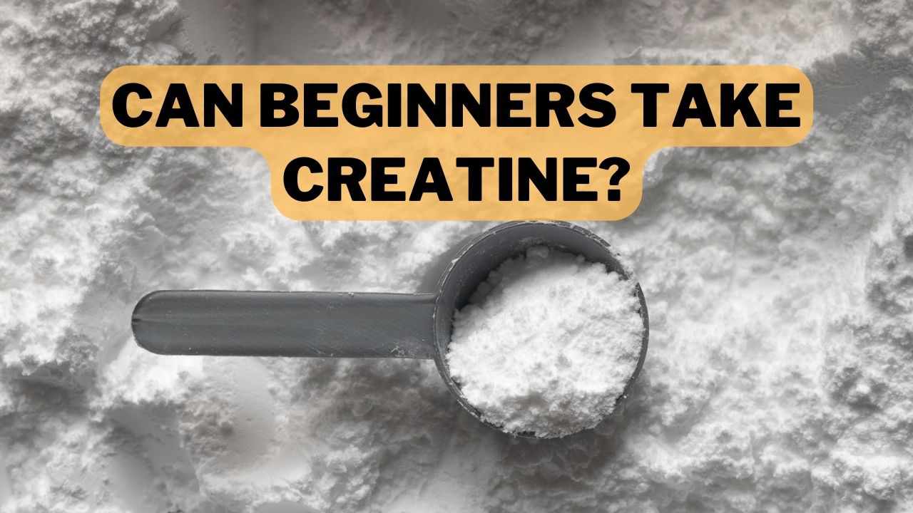 Can Beginners Take Creatine