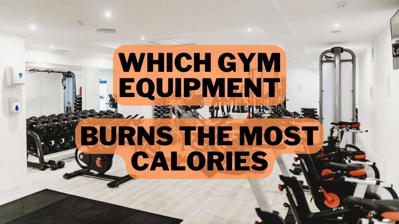 which-gym-equipment-burns-the-most-calories-gym-equipment-pro