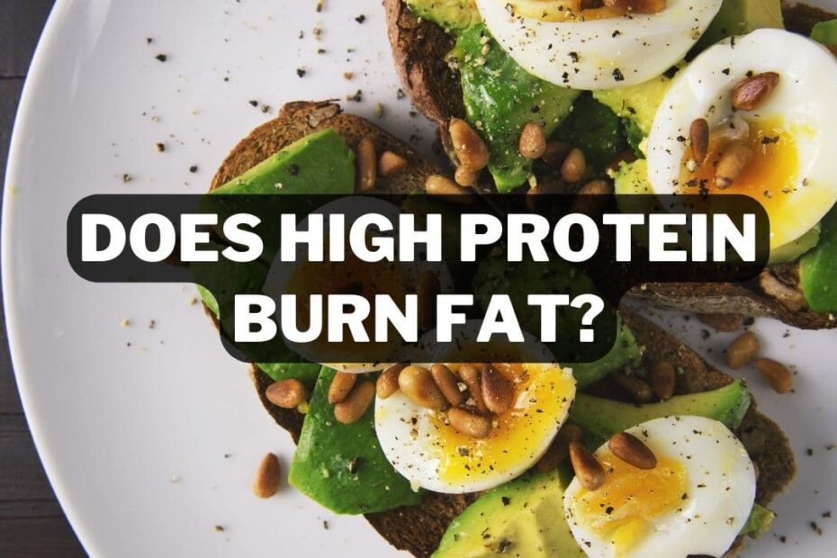 Does High Protein Burn Fat