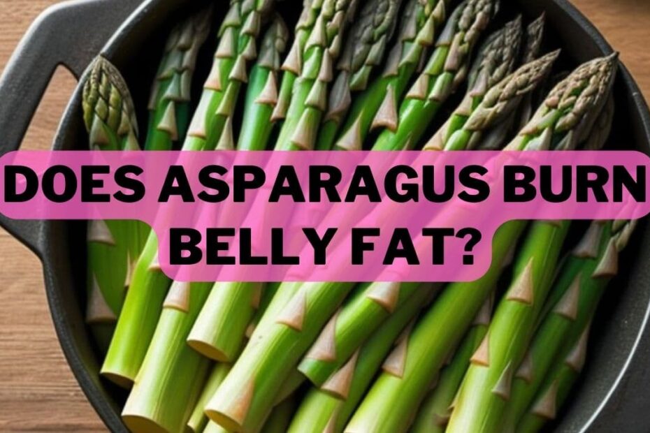 Does Asparagus Burn Belly Fat