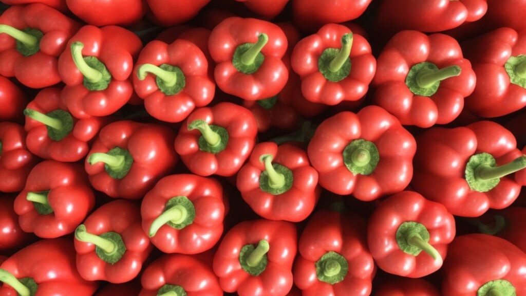 Red Peppers